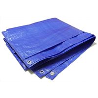 Krycí plachta s oky 6 x 12 m - STANDARD