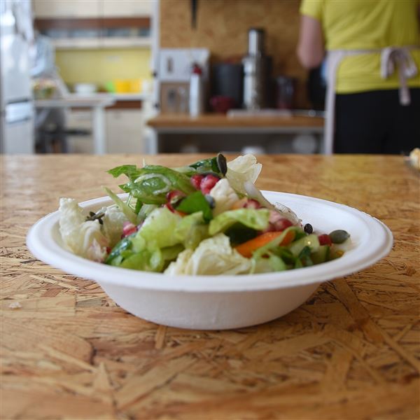 Miska kulatá BIO cukrová třtina 300 ml (50 ks) - bílá